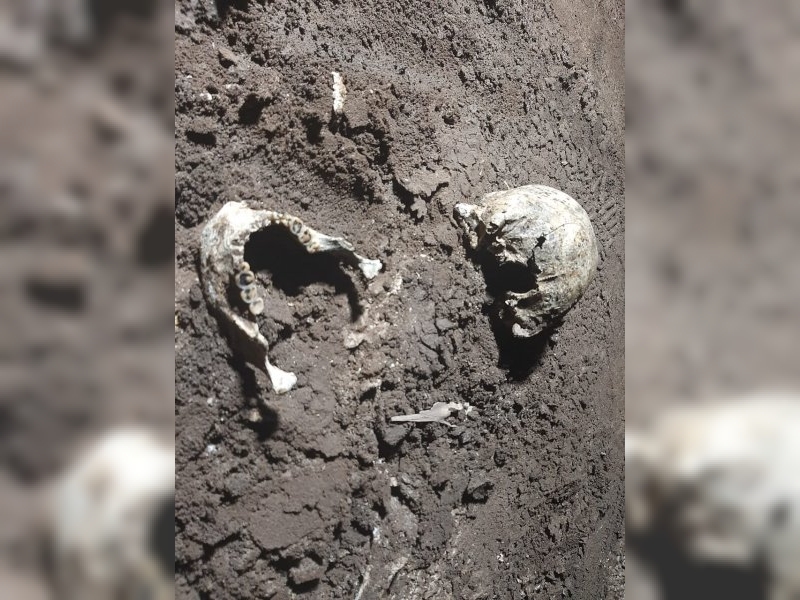 MORTEROS: ESTUDIAN RESTOS ÓSEOS ENCONTRADOS EN LA COSTA DE LA LAGUNA