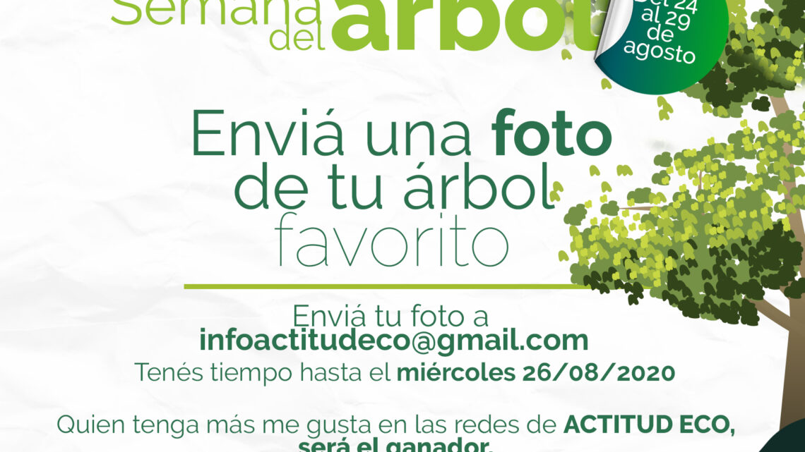 ARROYITO: CONCURSO FOTOGRÁFICO POR EL DÍA DEL ÁRBOL ARROYITO: CONCURSO FOTOGRÁFICO POR EL DÍA DEL ÁRBOL