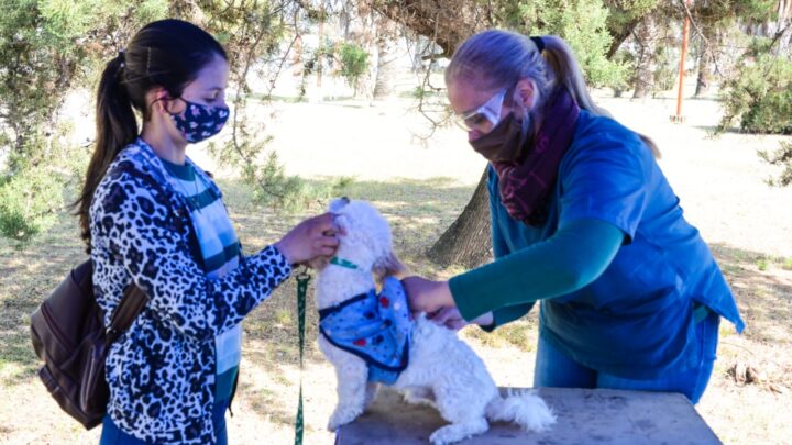 LA FRANCIA: COMENZÓ LA CAMPAÑA DE VACACIÓN ANTIRRÁBICA