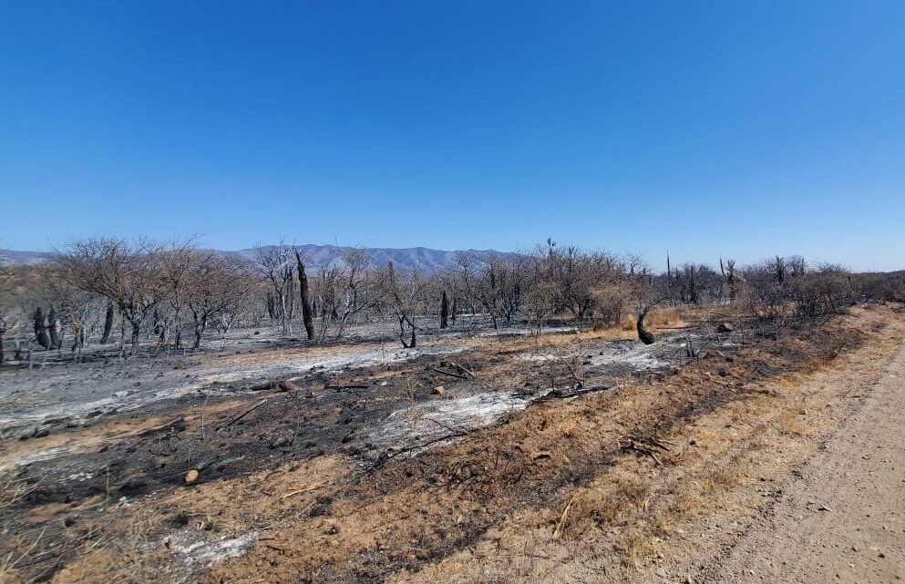 CÓRDOBA: NACIÓN HOMOLOGÓ LA DECLARACIÓN DE DESASTRE AGROPECUARIO CÓRDOBA: NACIÓN HOMOLOGÓ LA DECLARACIÓN DE DESASTRE AGROPECUARIO