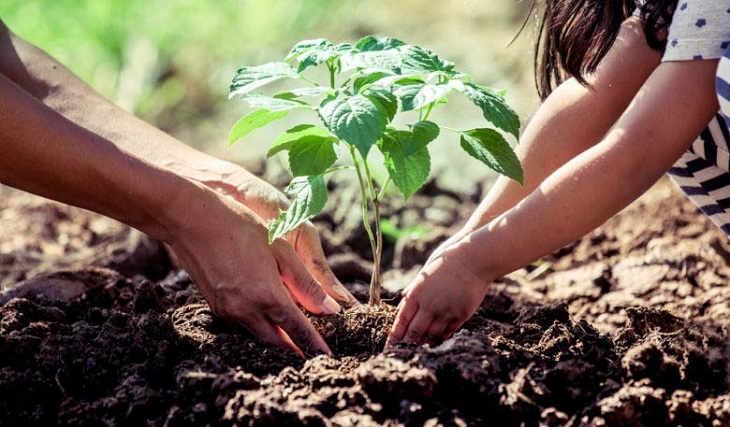 VILLA FONTANA: LANZAN EL PLAN DE FORESTACIÓN “ECOMASCOTA” QUE PROMUEVE LA ADOPCIÓN DE ÁRBOLES VILLA FONTANA: LANZAN EL PLAN DE FORESTACIÓN “ECOMASCOTA” QUE PROMUEVE LA ADOPCIÓN DE ÁRBOLES