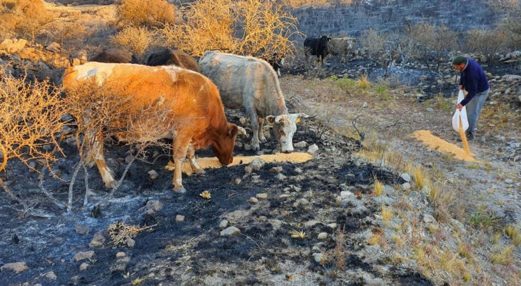 BALNEARIA Y BRINKMANN: MOVIDAS SOLIDARIAS PARA LAS SIERRAS BALNEARIA Y BRINKMANN: MOVIDAS SOLIDARIAS PARA LAS SIERRAS