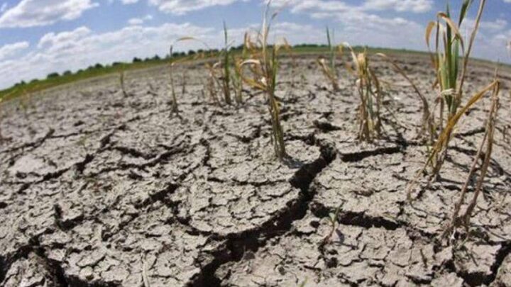 CÓRDOBA: DESDE 1975 QUE NO SE REGISTRA UNA SEQUÍA COMO LA DE ÉSTE AÑO