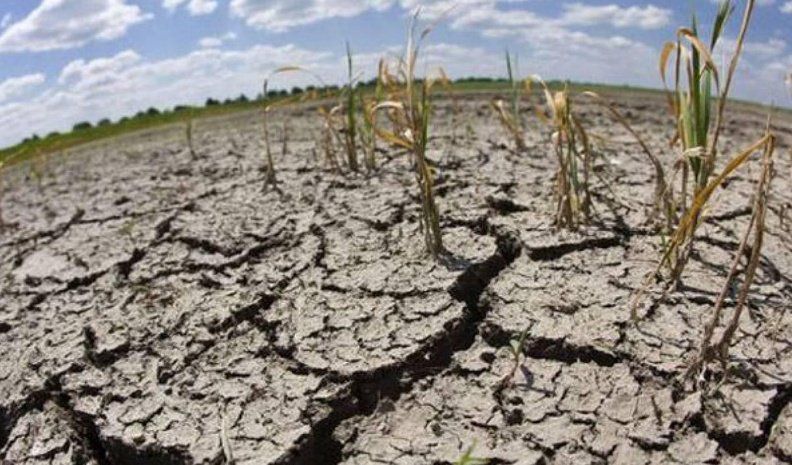 CÓRDOBA: DESDE 1975 QUE NO SE REGISTRA UNA SEQUÍA COMO LA DE ÉSTE AÑO CÓRDOBA: DESDE 1975 QUE NO SE REGISTRA UNA SEQUÍA COMO LA DE ÉSTE AÑO
