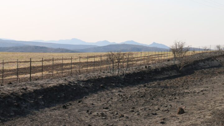 CÓRDOBA: DENUNCIA POR INTENTO DE VENTA DE TERRENOS ARRASADOS POR EL FUEGO