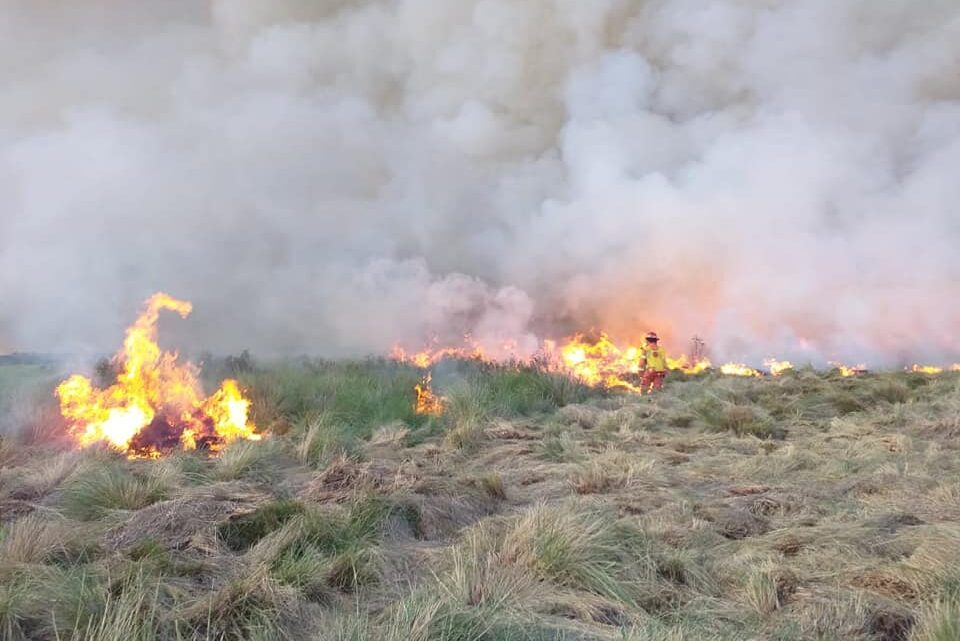 EN FOTOS: BOMBEROS COMBATIERON INCENDIO DE PASTIZALES EN LA ZONA DE JERÓNIMO CORTÉS