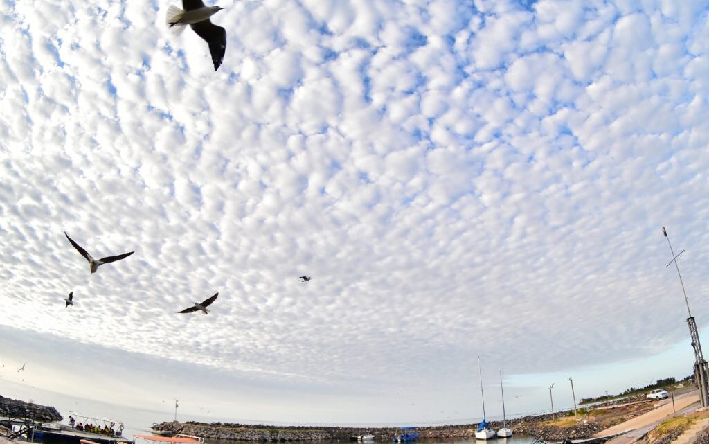 Clima: Pronóstico de lluvias para la noche de este lunes en Ansenuza