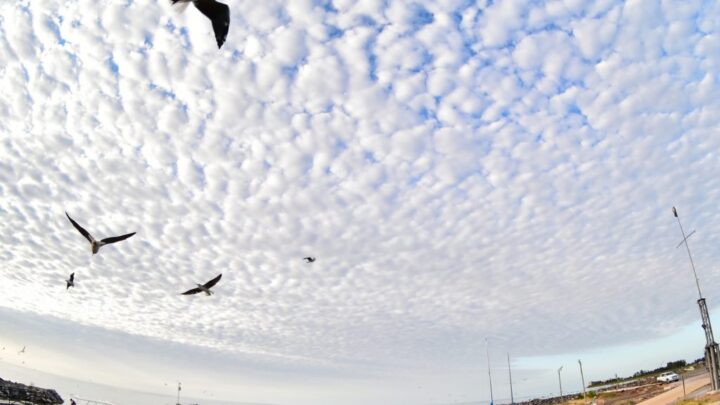 Clima: Pronóstico de lluvias para la noche de este lunes en Ansenuza