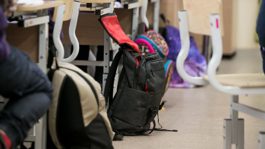 BRINKMANN: UNA ADOLESCENTE CAUSÓ ALARMA CON UNA REPLICA DE UN ARMA EN LA ESCUELA