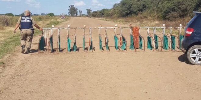 Desarticulan una carrera de galgos en la zona rural de El Tío