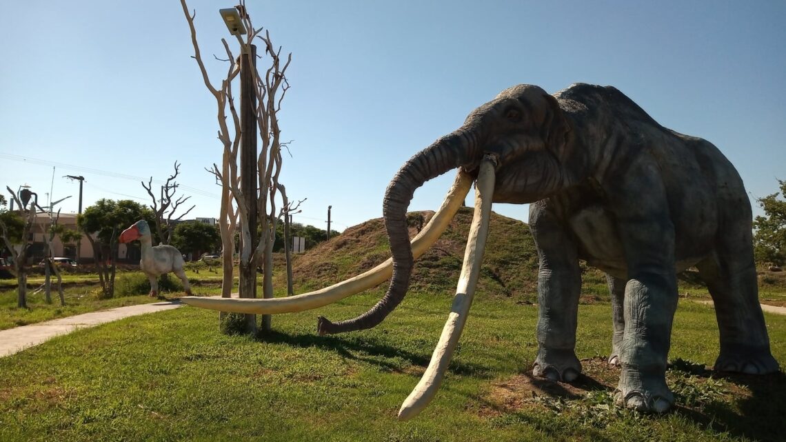 La Para: Días y horarios para visitar el Parque Pleistocénico de Ansenuza