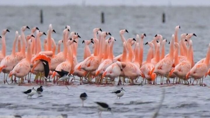 Parque Nacional: Este miércoles se trata la cesión de terrenos a la Nación