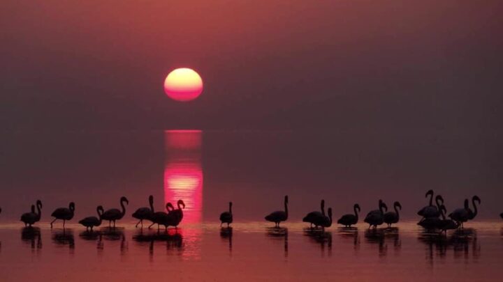Clima: Cómo estará el fin de semana en Ansenuza
