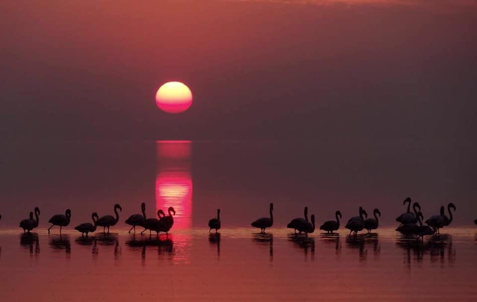 Clima: Cómo estará el fin de semana en Ansenuza