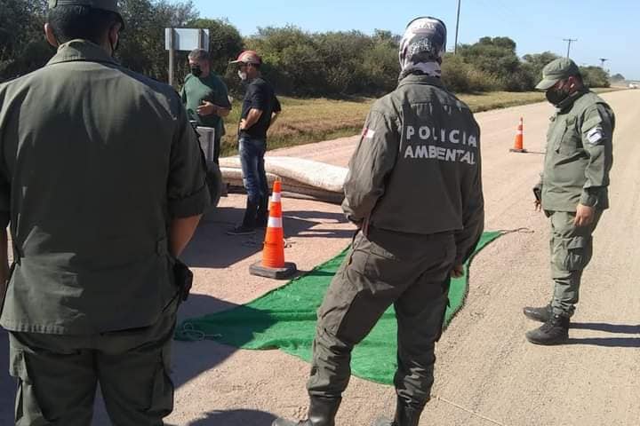 Policía Ambiental secuestró una red de pesca, escopetas y aves en cautiverio en el norte de la laguna