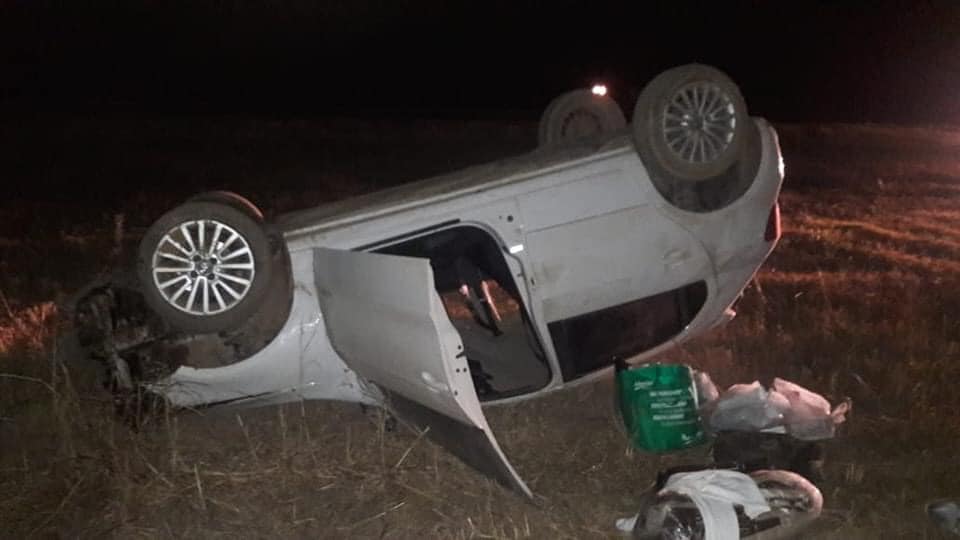 Un puma causó el vuelco de un auto en la ruta 19 cerca de Río Primero