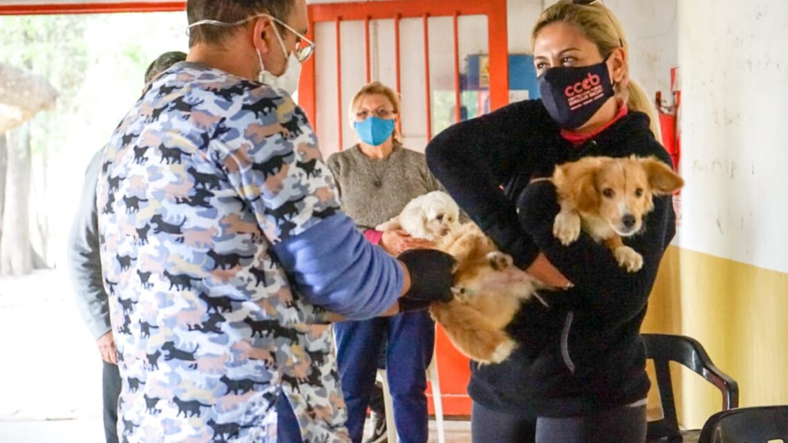 Arroyito: Continúa la vacunación antirrábica