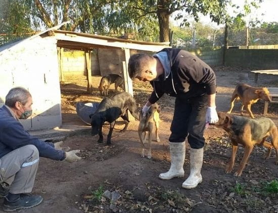 Morteros: Dejaron sin efecto la denuncia contra la Municipalidad por el Refugio Canino
