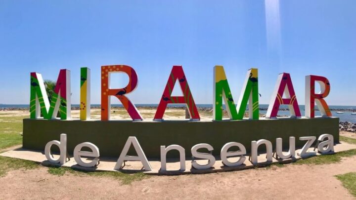 Miramar de Ansenuza: Taller gratuito de Comunicación y Creación de Banderas