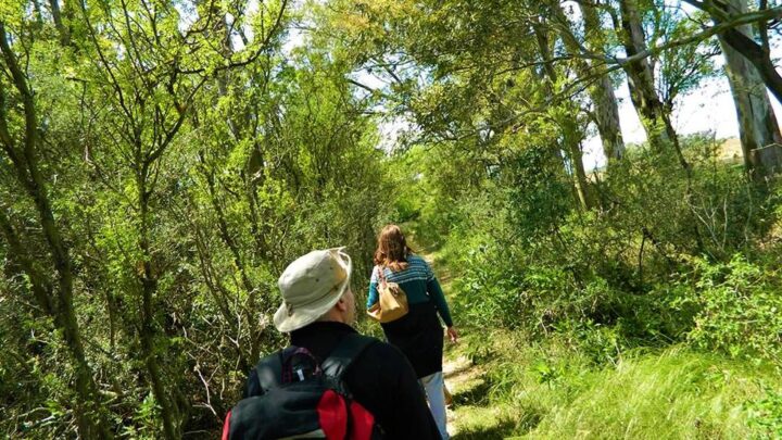 Córdoba refuerza la seguridad en el turismo alternativo con nuevas normas para senderismo y trekking