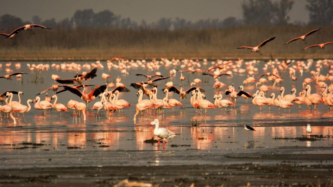 Clima: Así estará el fin de semana en Ansenuza