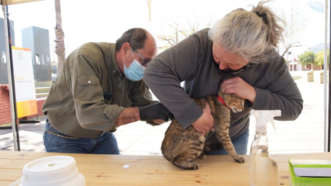 Arroyito: Iniciaron la segunda etapa de la Campaña de Vacunación Antirrábica