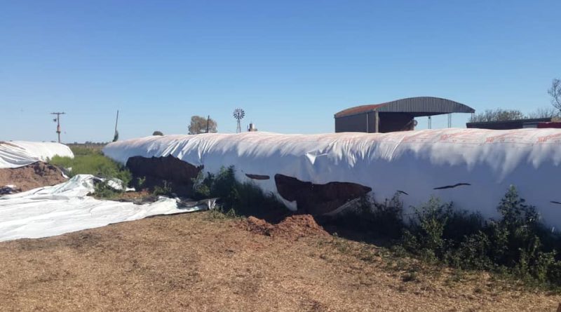 Atentaron contra silobolsas de un productor de Brinkmann