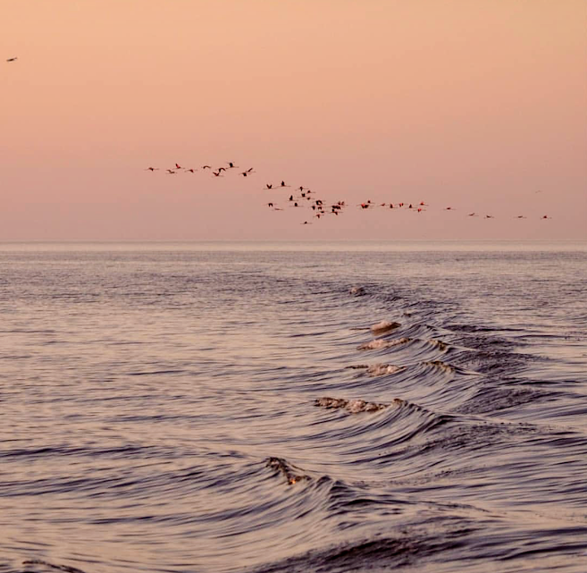 Ansenuza: Se viene otra ola de calor con temperaturas superiores a los 40° ¿Hasta cuándo?