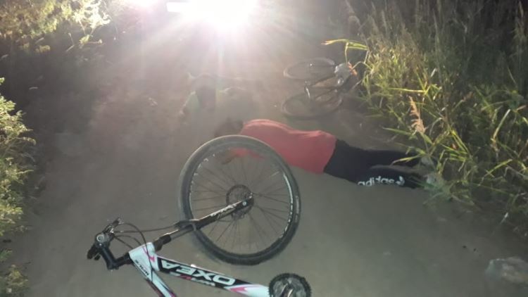 Robaron una vaca y se la llevaban arriándola en dos bicicletas