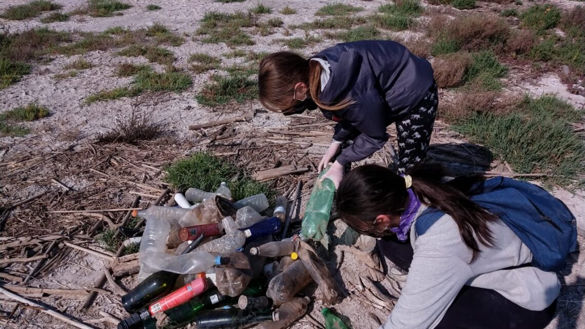 Scouts limpian la costa de la Laguna entre Miramar y el río  Plujunta