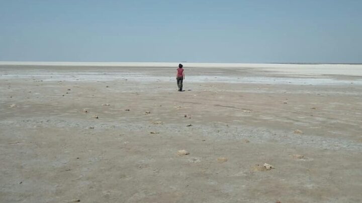 Alerta por altas temperaturas para la zona central del país