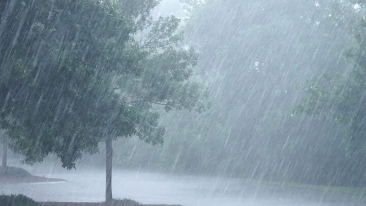Alerta por tormentas fuertes para la región de Ansenuza