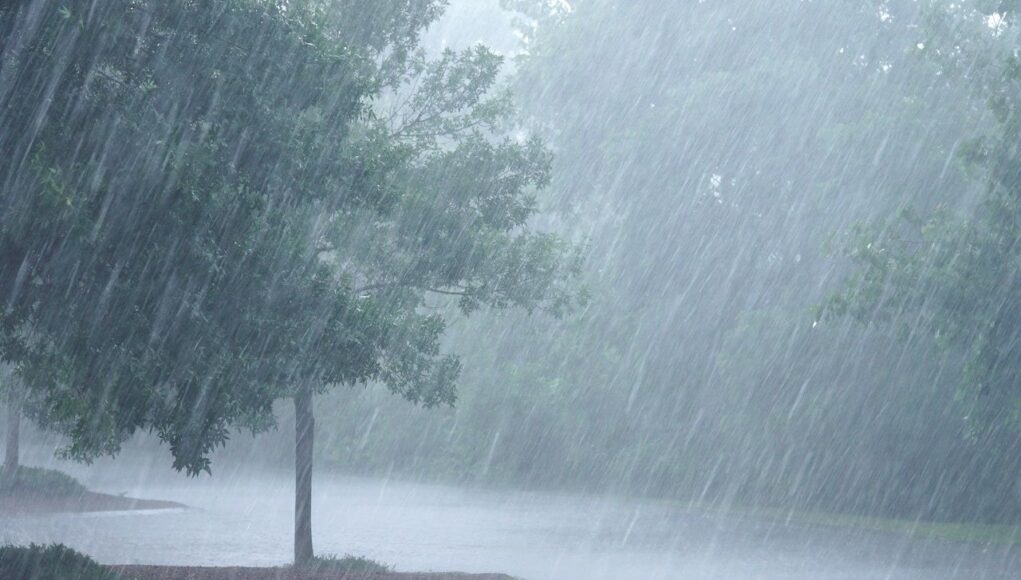 Alerta por tormentas fuertes para la región de Ansenuza