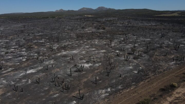 Ruralistas del noroeste de Córdoba piden la renuncia del Secretario de Ambiente Scotto