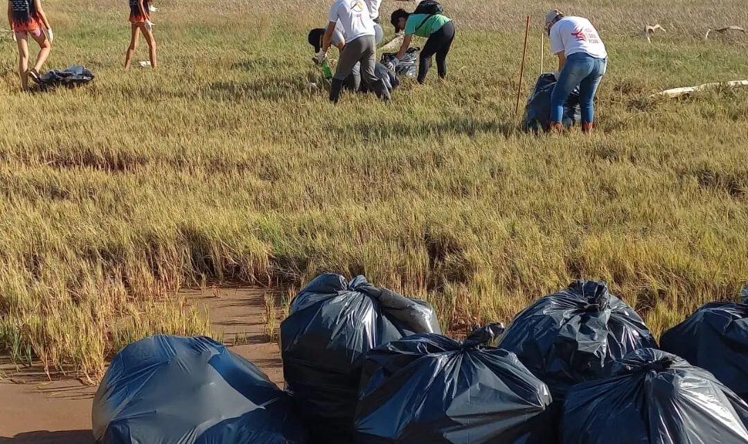 Te Quiero Limpia llegó a la costa de Laguna del Plata