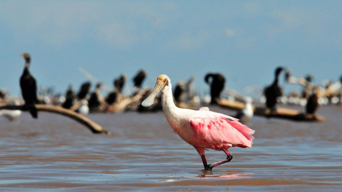¿Se termina el veranito de mayo? alerta por lluvias en Córdoba