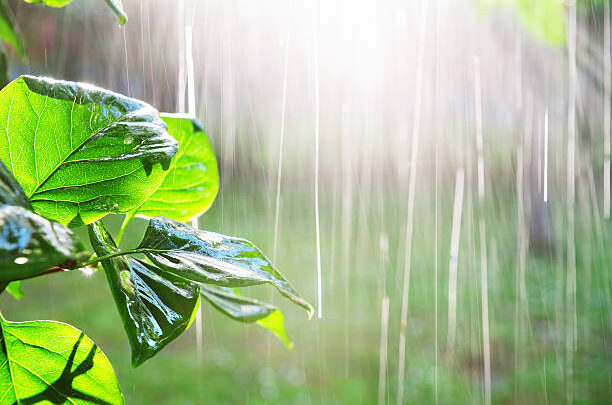 Clima: lluvias para el viernes, ¿que pasa el fin de semana?