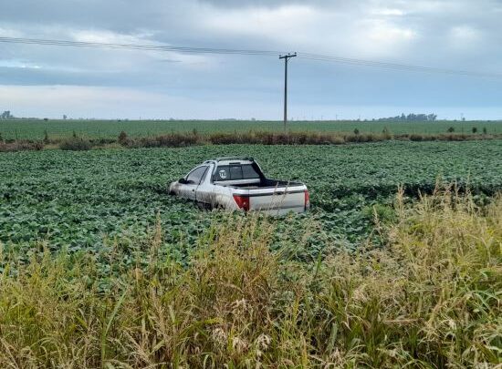 En La Paquita un automovilista terminó en un campo sembrado de soja