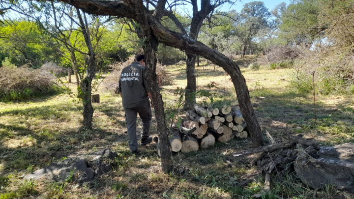 Policía Ambiental frena el desmonte en dos lugares de la Provincia
