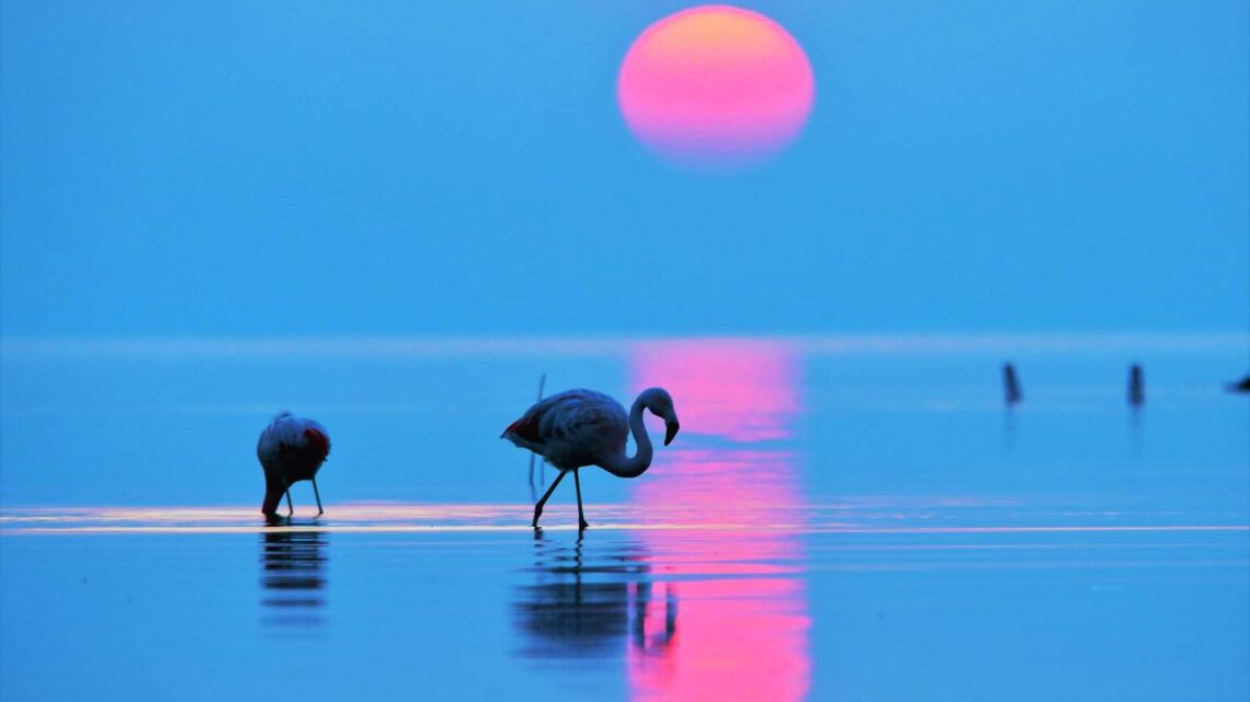 Sacá la manga corta que vuelve el calor ¿Hasta cuándo?
