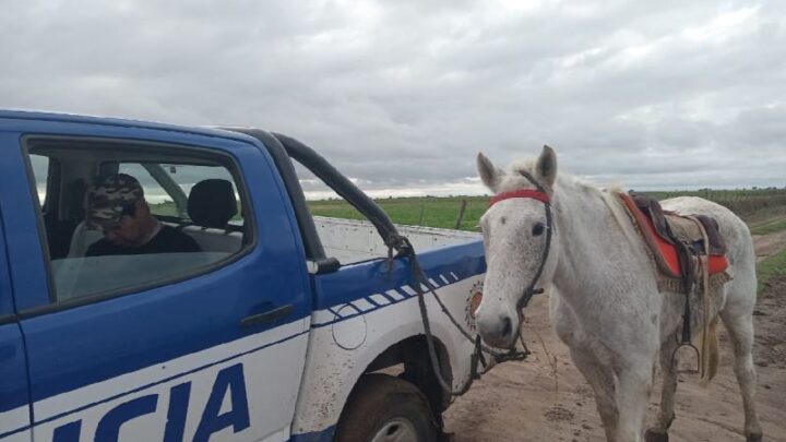 Robó en una escuela y escapó a caballo