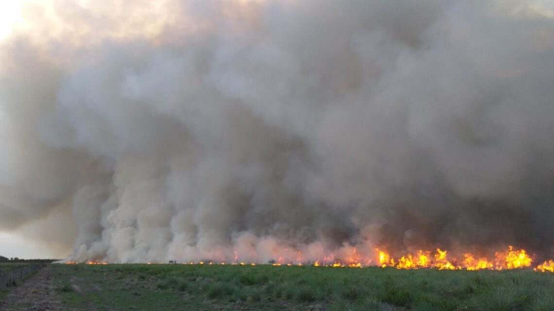 10 dotaciones de Bomberos logran controlar un incendio en La Colonial