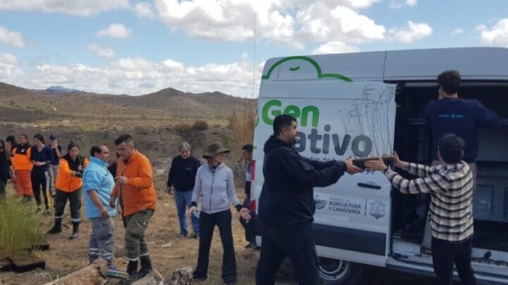 El Ministerio de Agricultura entregó 21.000 algarrobos a zonas afectadas por incendios