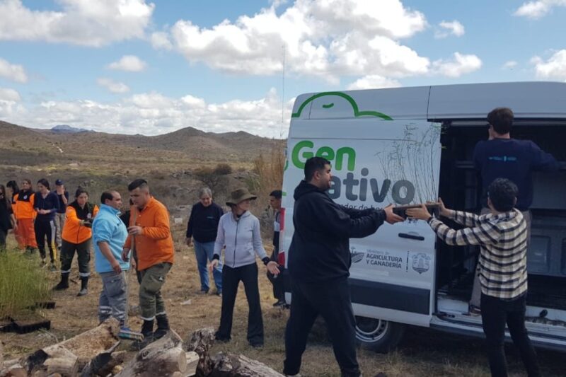 El Ministerio de Agricultura entregó 21.000 algarrobos a zonas afectadas por incendios El Ministerio de Agricultura entregó 21.000 algarrobos a zonas afectadas por incendios