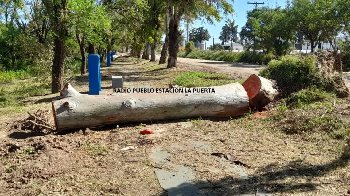 La Puerta: murió un hombre en un accidente laboral La Puerta: murió un hombre en un accidente laboral
