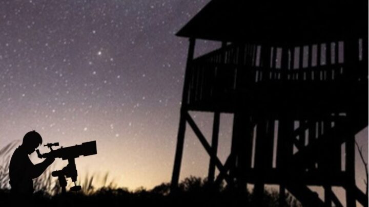 Miramar te invita a ver las estrellas este viernes 19 en la playa Copacabana