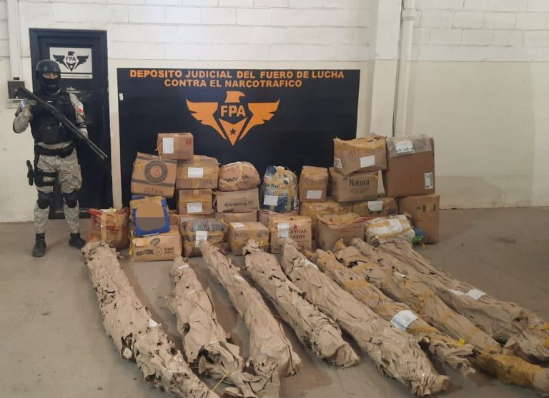 Confiscaron más de 140 kilos de marihuana, tenían una plantación Confiscaron más de 140 kilos de marihuana, tenían una plantación