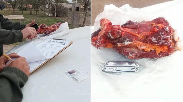 Ansenuza: mataron a tres ñandúes y fueron identificados