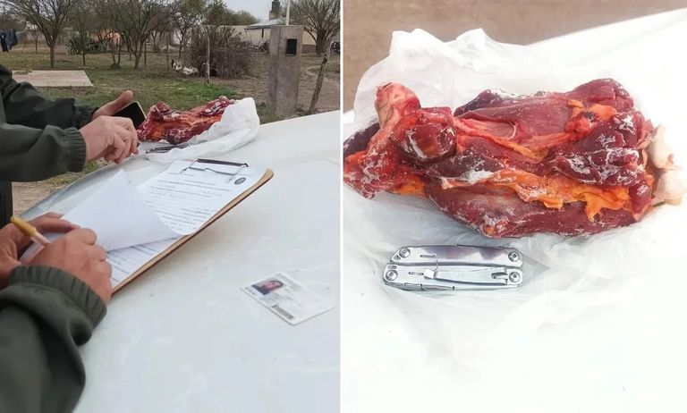 Ansenuza: mataron a tres ñandúes y fueron identificados
