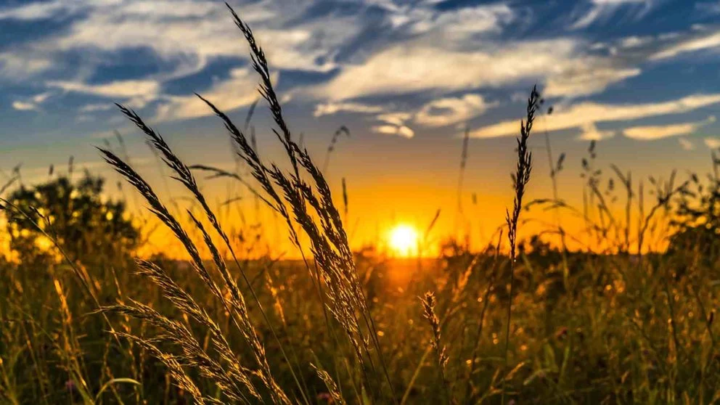 Clima: escasas lluvias en la primavera y una niña de corta duración
